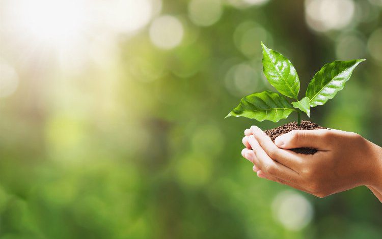 ‘Türk Çevre Etiketi’ dünyada tanınacak ‘Türk Çevre Etiketi’ dünyada tanınacak