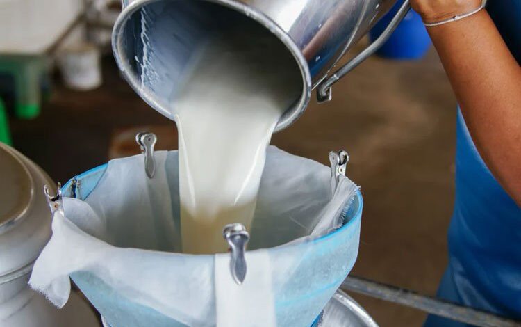 Çiğ süt üretimi yüzde 7,1 azaldı