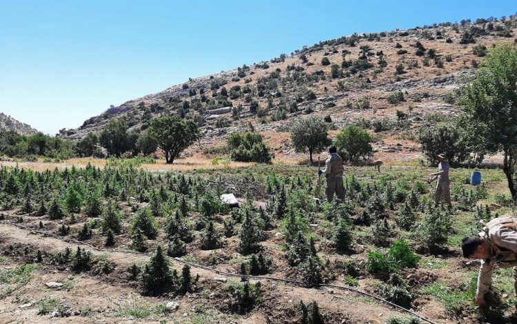 Diyarbakır’da terörün finansman kaynağı ‘Abluka’ya alındı Diyarbakır’da terörün finansman kaynağı ‘Abluka’ya alındı