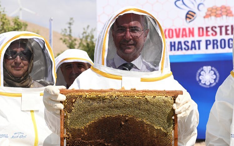 Konya Selçuklu’da arılı kovan desteği Konya Selçuklu’da arılı kovan desteği