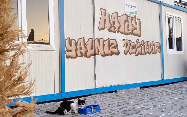 Uludağ Enerji Hatay’da sokak hayvanlarını unutmadı Uludağ Enerji Hatay’da sokak hayvanlarını unutmadı