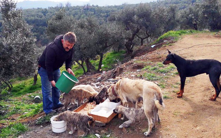 Mudanyalı muhtardan can dostlara ziyafet Mudanyalı muhtardan can dostlara ziyafet