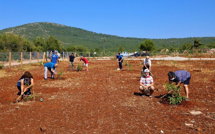 Muğla Büyükşehir’den yaşlı ve engelli vatandaşlar için ceviz bahçesi Muğla Büyükşehir’den yaşlı ve engelli vatandaşlar için ceviz bahçesi