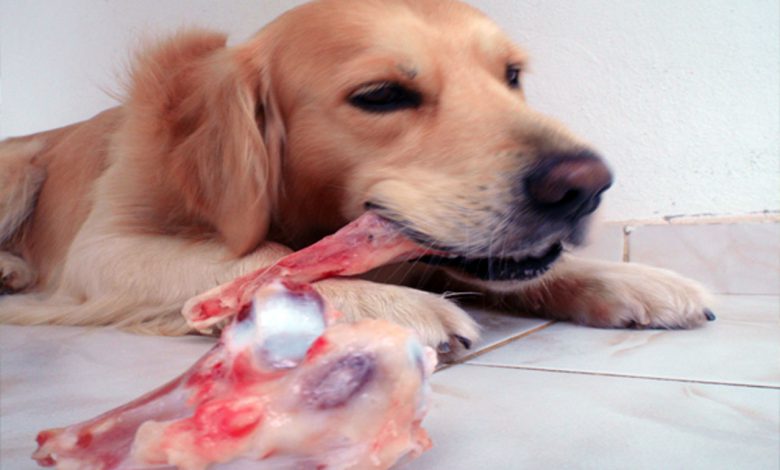 Kocaeli’den ‘sakatat atmayın’ uyarısı Kocaeli’den ‘sakatat atmayın’ uyarısı