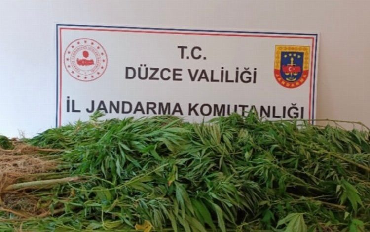 Düzce’de jandarmadan uyuşturucu operasyonu Düzce’de jandarmadan uyuşturucu operasyonu