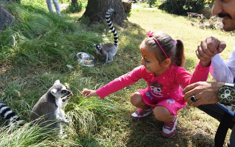 Bursalı çocuklara bayramı Hayvanat Bahçesi’nde Bursalı çocuklara bayramı Hayvanat Bahçesi’nde
