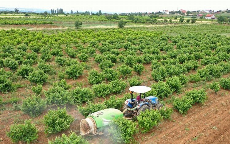 Çiftçiye toprak analiz desteği