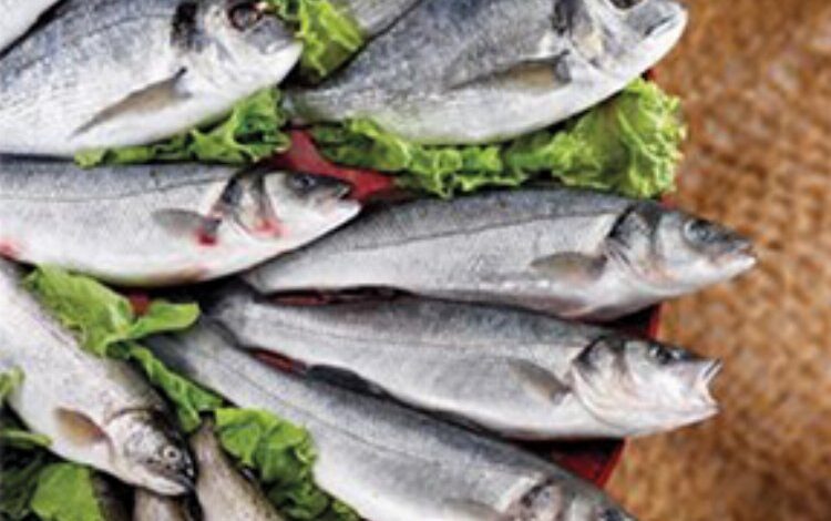 Su ürünleri ihracatında rekor yılı