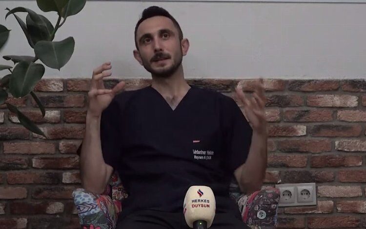 Veteriner hekimin isyanı: Hayvanları eşya gibi görmeyin!