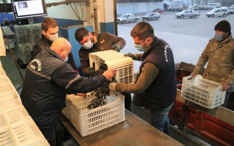 Marmarabirlik’ten ilk dilim ödemeler bu gece hesaplarda