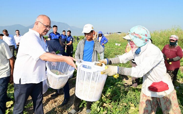 Manisa’da tarım emekçileriyle hasat vakti buluşması