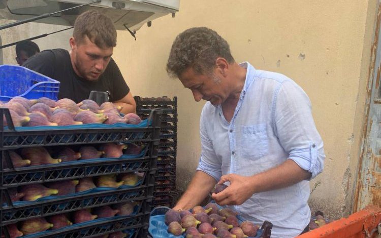 Bursa’da 15 liraya üretilen siyah incir 10 liraya satılamıyor!