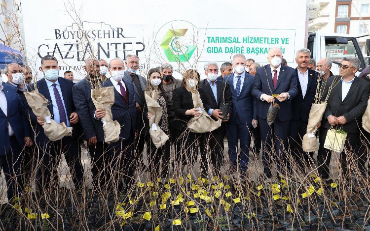 Gaziantep’te Oğuzeli çiftçisine fidan dağıtıldı
