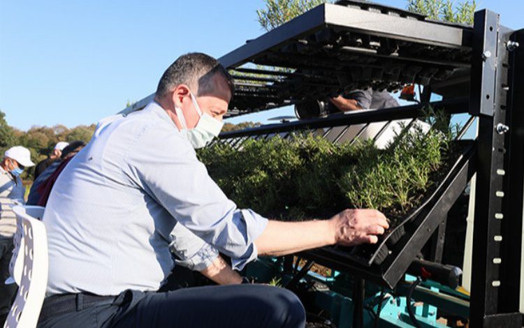 Kocaeli’nde tıbbi aromatik bitki yetişiyor