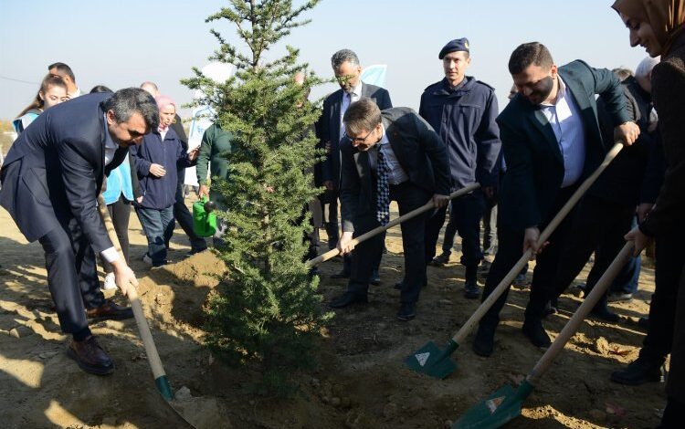 Bursa Yıldırım’da 250 fidan toprakla buluştu