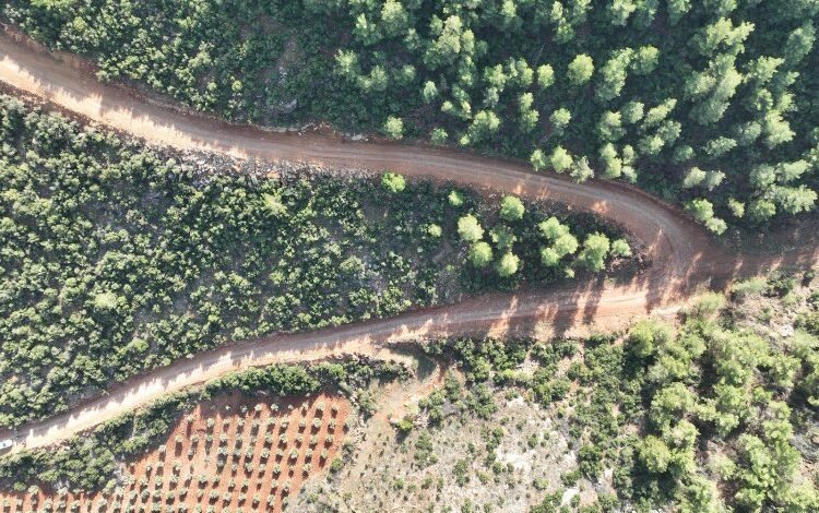 Hataylı üreticiler bu yolla nefes alacak