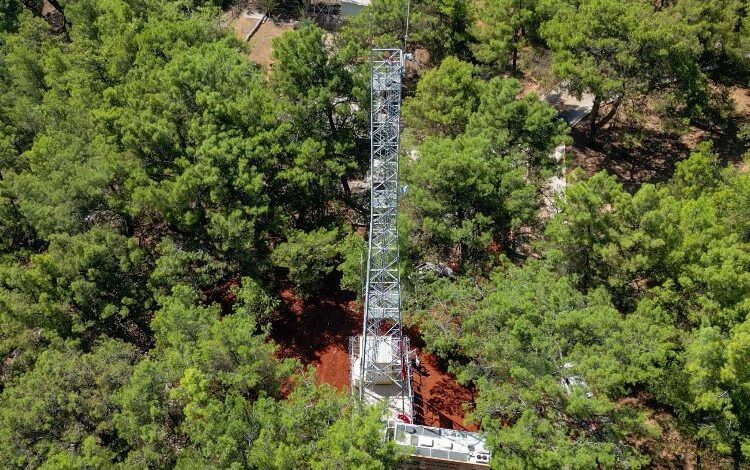 ‘Ormanın Gözleri’nde gözetleme kulesi 5’e çıktı ‘Ormanın Gözleri’nde gözetleme kulesi 5’e çıktı