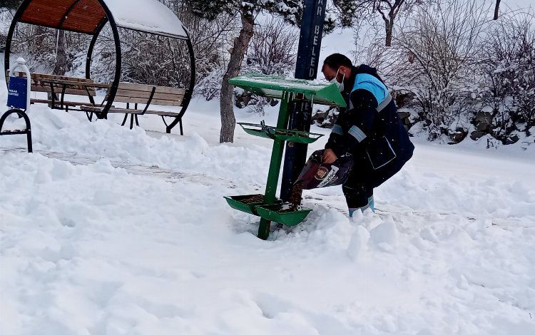 Kayseri Hacılar’da can dostlara ilgi