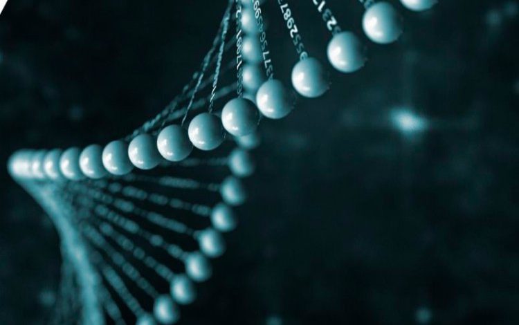 Yenilikçi dijital sağlıkta finale kalan 3 Türk startup Yenilikçi dijital sağlıkta finale kalan 3 Türk startup