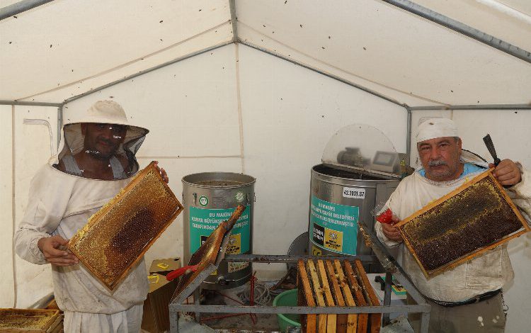 Bal hasadı başladı, modern arıcılıkta rekolteler arttı