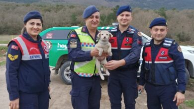 Sokak hayvanlarına Jandarma şefkati