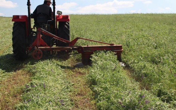 Üreticiye Macar fiği desteği Üreticiye Macar fiği desteği