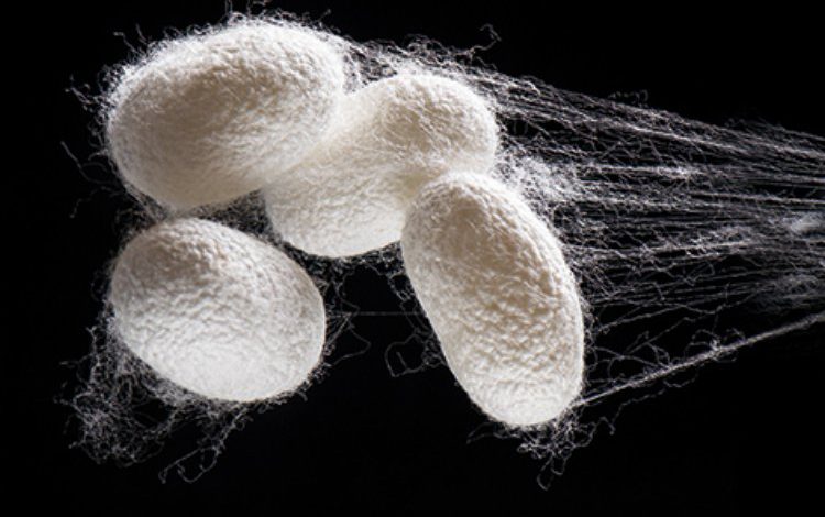 İpeğin büyülü dünyası Bursa’da vitrine çıkıyor İpeğin büyülü dünyası Bursa’da vitrine çıkıyor