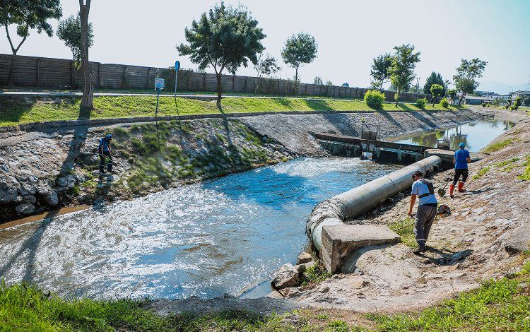 Sakarya’da Çark Deresi’nde hummalı temizlik