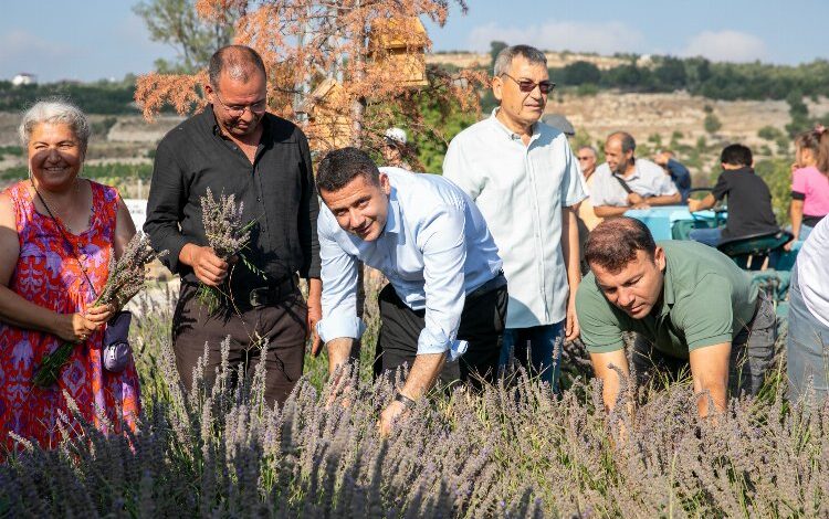 Çaltıbozkır’da Lavanta Hasat Şenliği coşkusu Çaltıbozkır’da Lavanta Hasat Şenliği coşkusu