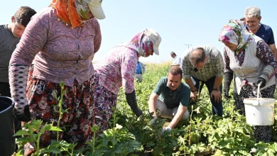 Balıkesir’de planlı kalkınma dönemi başladı