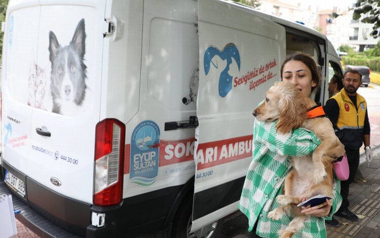 Sokak hayvanları ambulansı Eyüpsultan’ın mahallelerinde