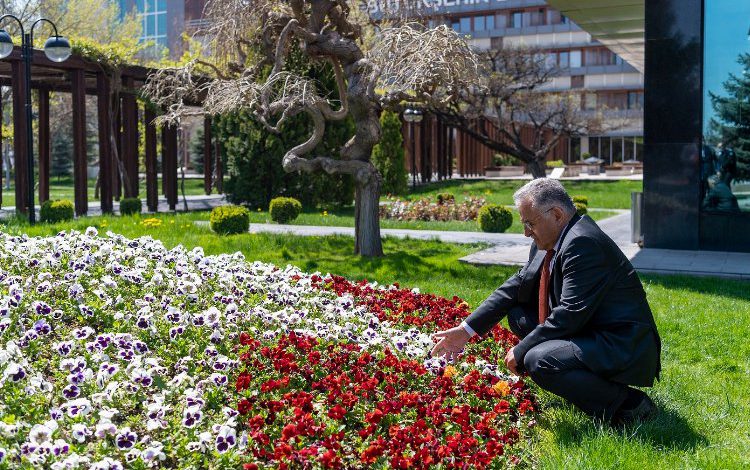 Kayseri Büyükşehir’den Türkiye’ye örnek olacak ‘Yeşil Alan’ uygulaması