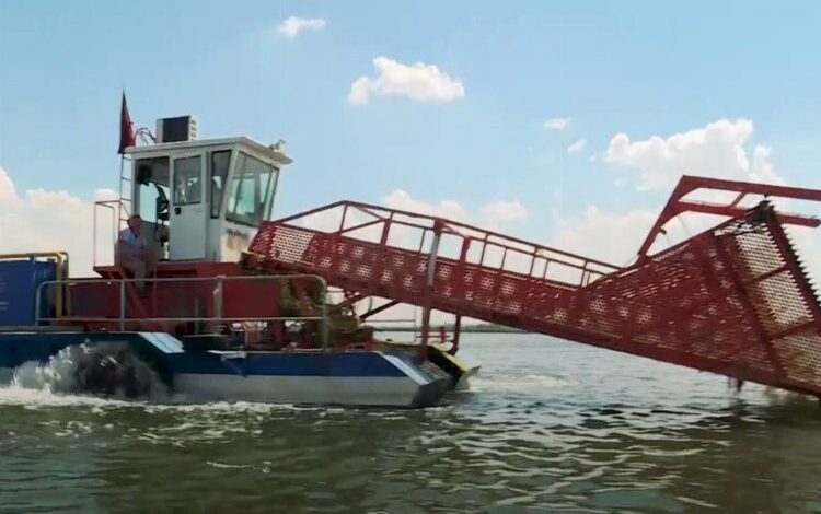 Mogan Gölü yeniden hayat buldu Mogan Gölü yeniden hayat buldu