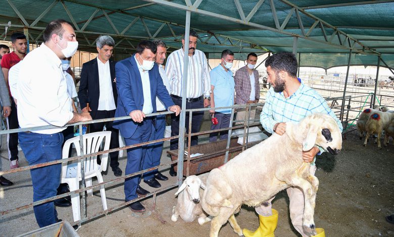 Malatya’da canlı hayvan pazarına ziyaret Malatya’da canlı hayvan pazarına ziyaret