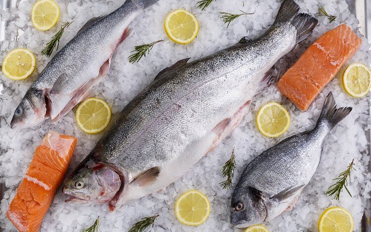 Levreği İngilizler, Çipura’yı İtalyanlar sevdi Levreği İngilizler, Çipura’yı İtalyanlar sevdi