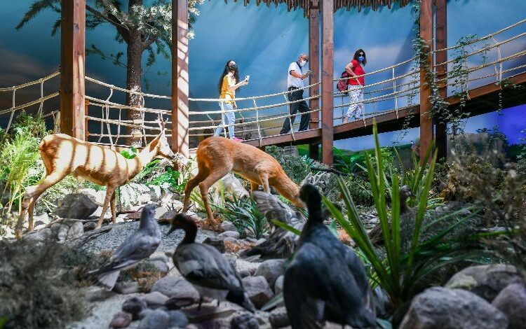 ABB kent gezileri ile başkenti tanıtıyor