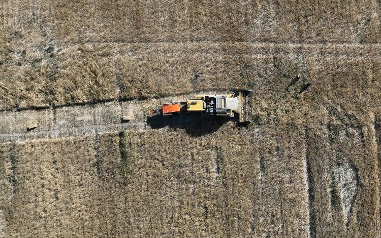 Konya yerli tohum için AR-GE’yi hızlandırdı Konya yerli tohum için AR-GE’yi hızlandırdı