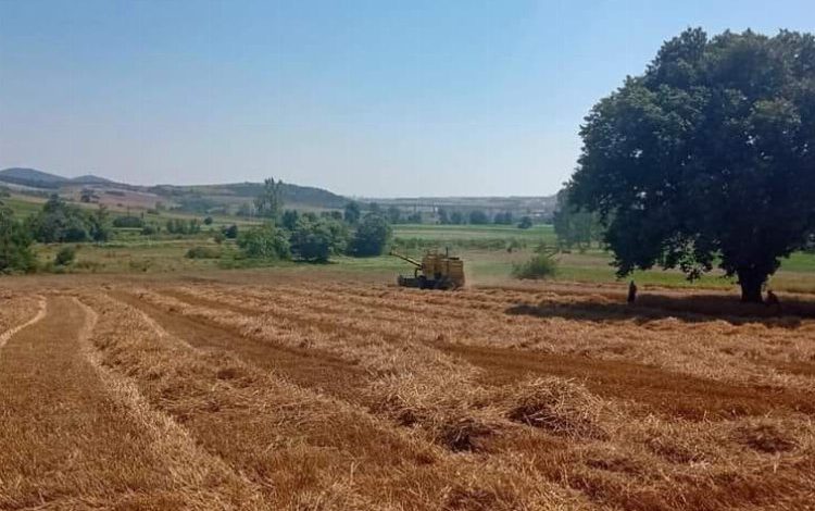 ÇKS kayıtları için son bir hafta