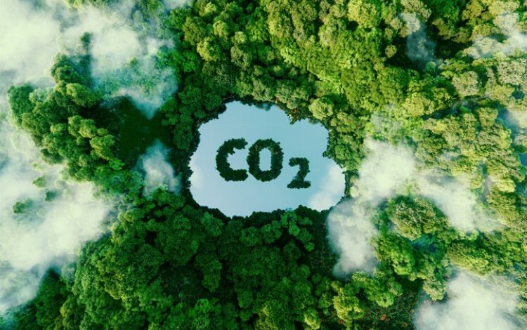 Çevreci şirketlerin rekabet gücü artacak Çevreci şirketlerin rekabet gücü artacak