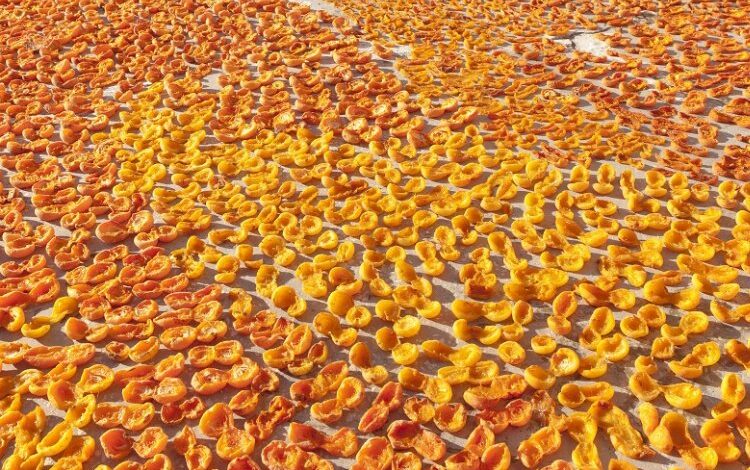 Kuru meyve sektörüne 3 güçlü pazar Kuru meyve sektörüne 3 güçlü pazar