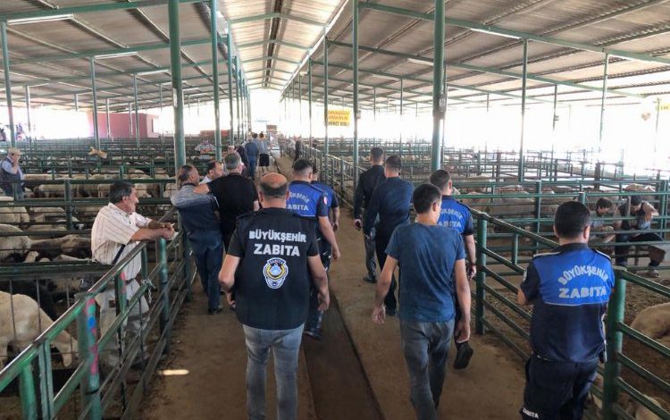 Manisa’da kurban satış yerleri Zabıta denetiminde