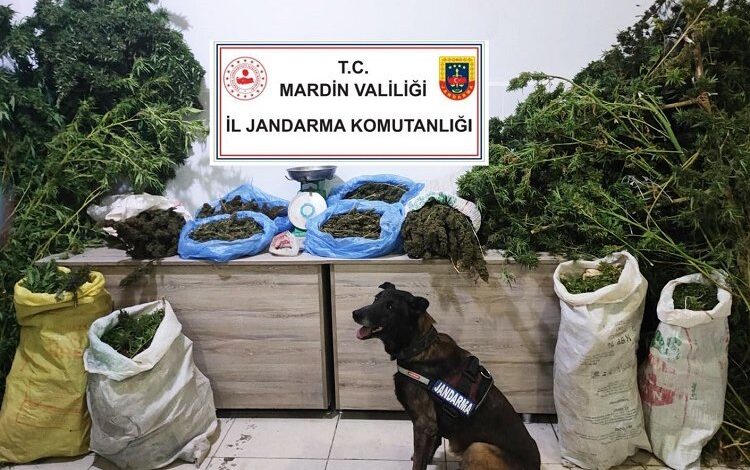 Manav değil uyuşturucu satıcısı