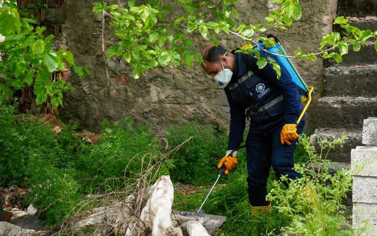 Diyarbakır’da ilaçlama çalışmaları aralıksız sürüyor Diyarbakır’da ilaçlama çalışmaları aralıksız sürüyor