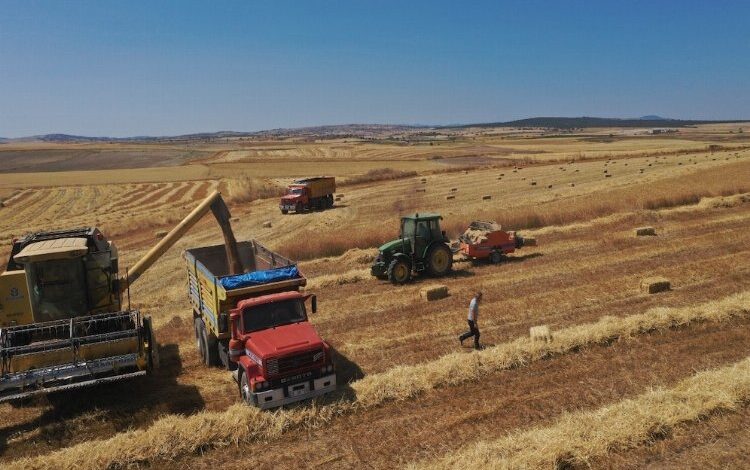 Belediyenin buğdayları un olarak dağıtılacak Belediyenin buğdayları un olarak dağıtılacak
