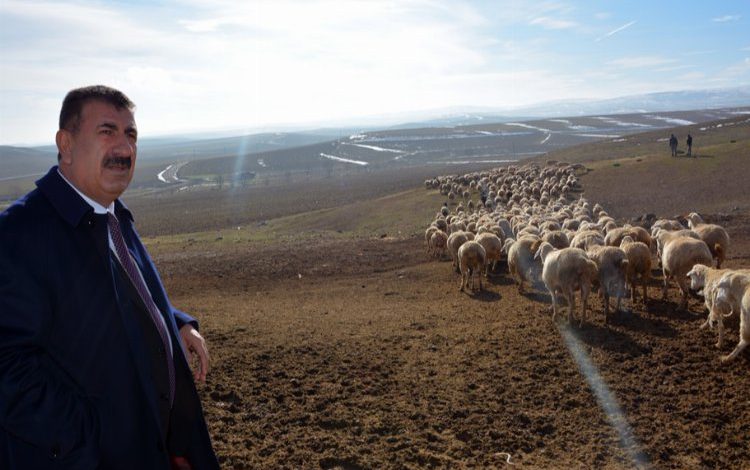 Küçükbaş yetiştiricileri için önemli fırsat