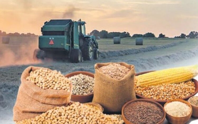 Tarım-ÜFE verileri açıklandı