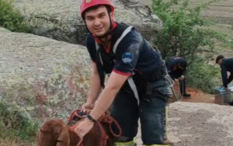 Kayseri itfaiyesinden keçi operasyonu