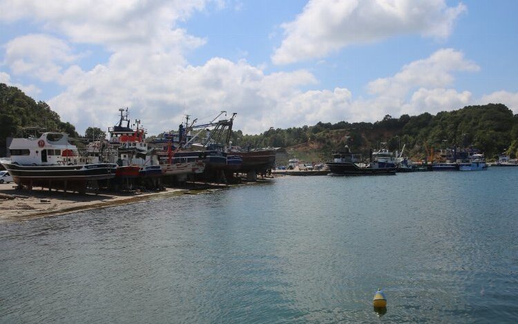 Balıkçılar gün sayıyor… 1 Eylül’de ‘Vira bismillah’ diyecekler Balıkçılar gün sayıyor… 1 Eylül’de ‘Vira bismillah’ diyecekler