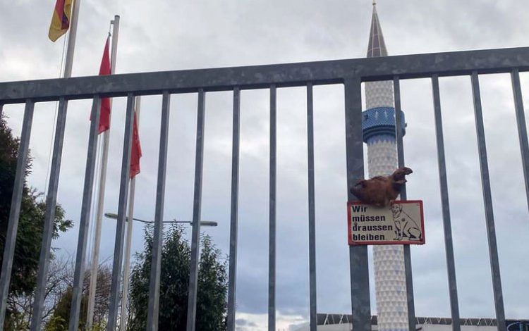 Almanya’da camii kapısına domuz kafası astılar Almanya’da camii kapısına domuz kafası astılar