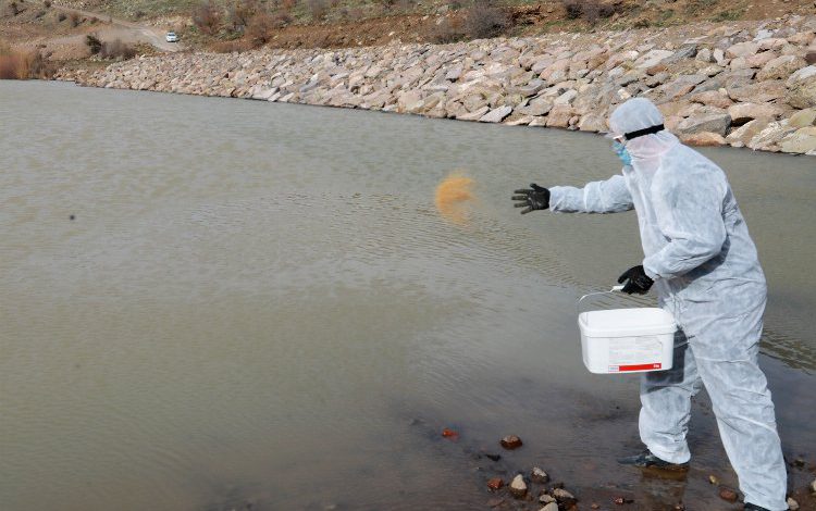 Kayseri Talas’ta sinek ve haşerata erken önlem